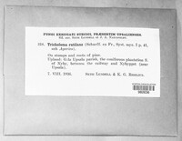Image Associated With the Occurence